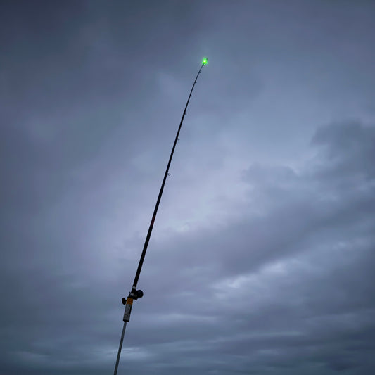 Rod tip light