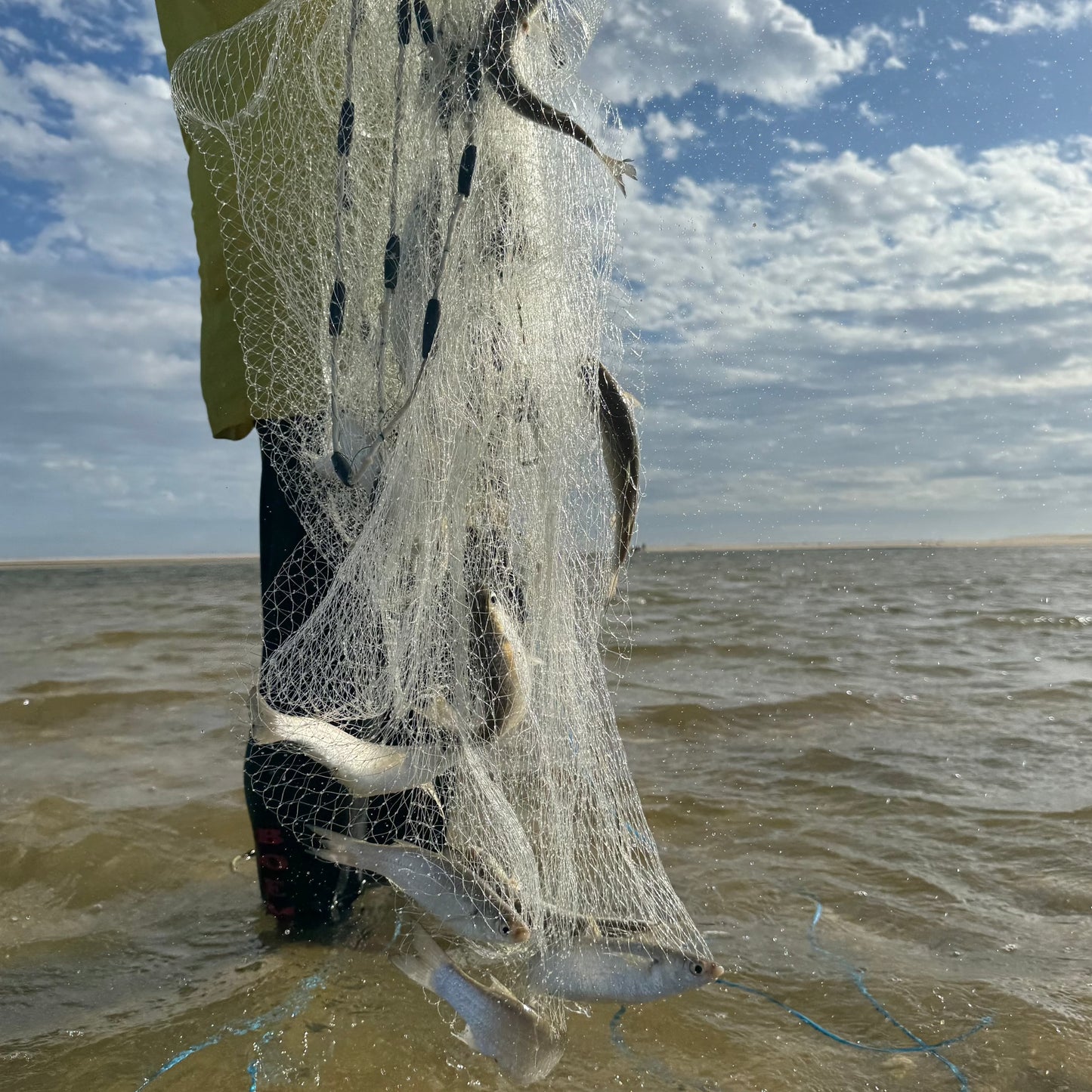 Cast nets