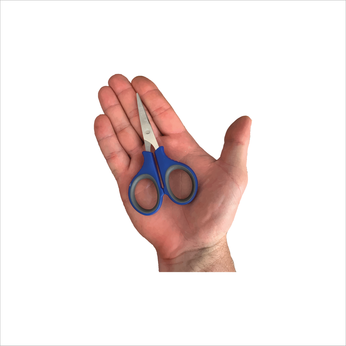 Scissors - 316 Stainless with hook remover