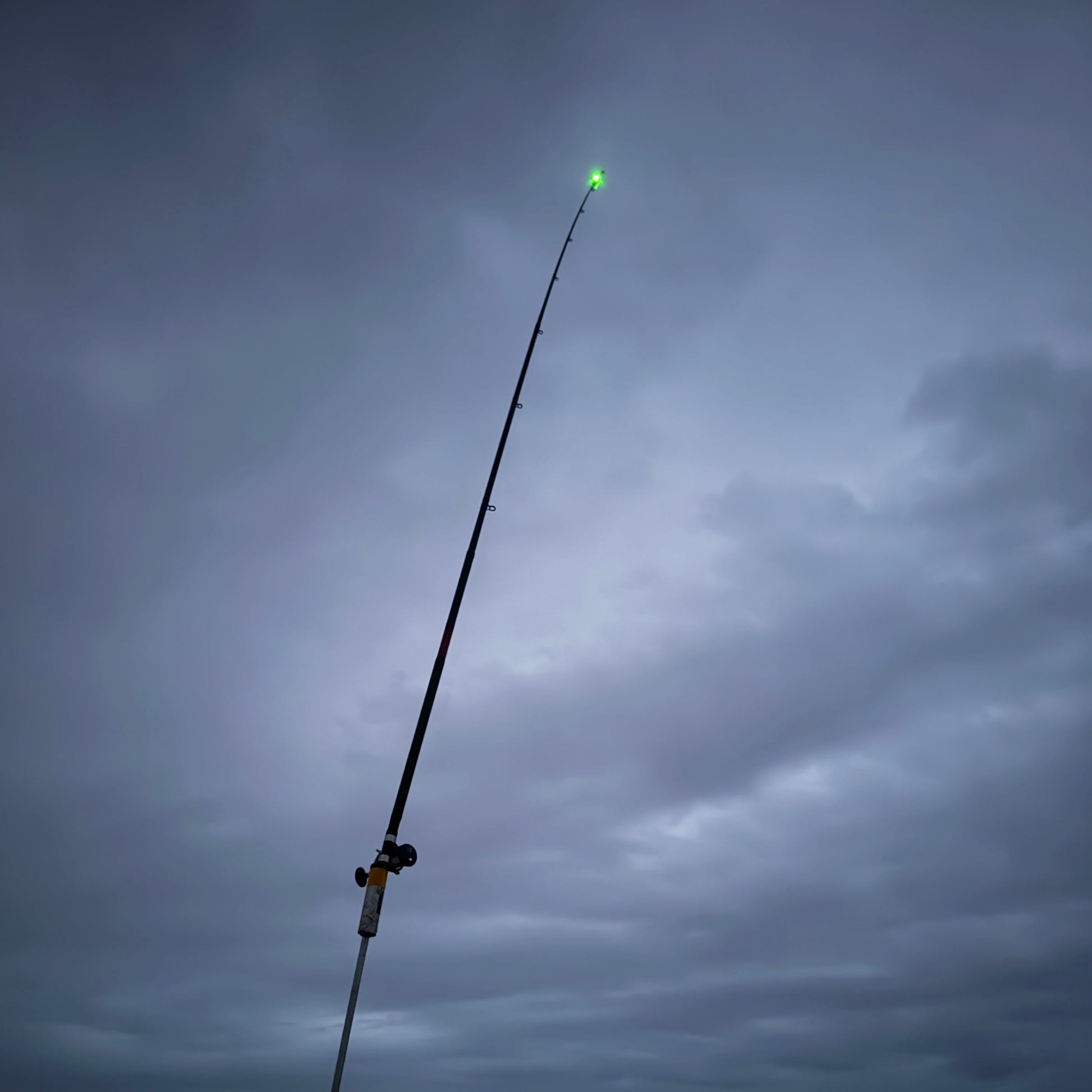 Rod tip light – Tidal Hook