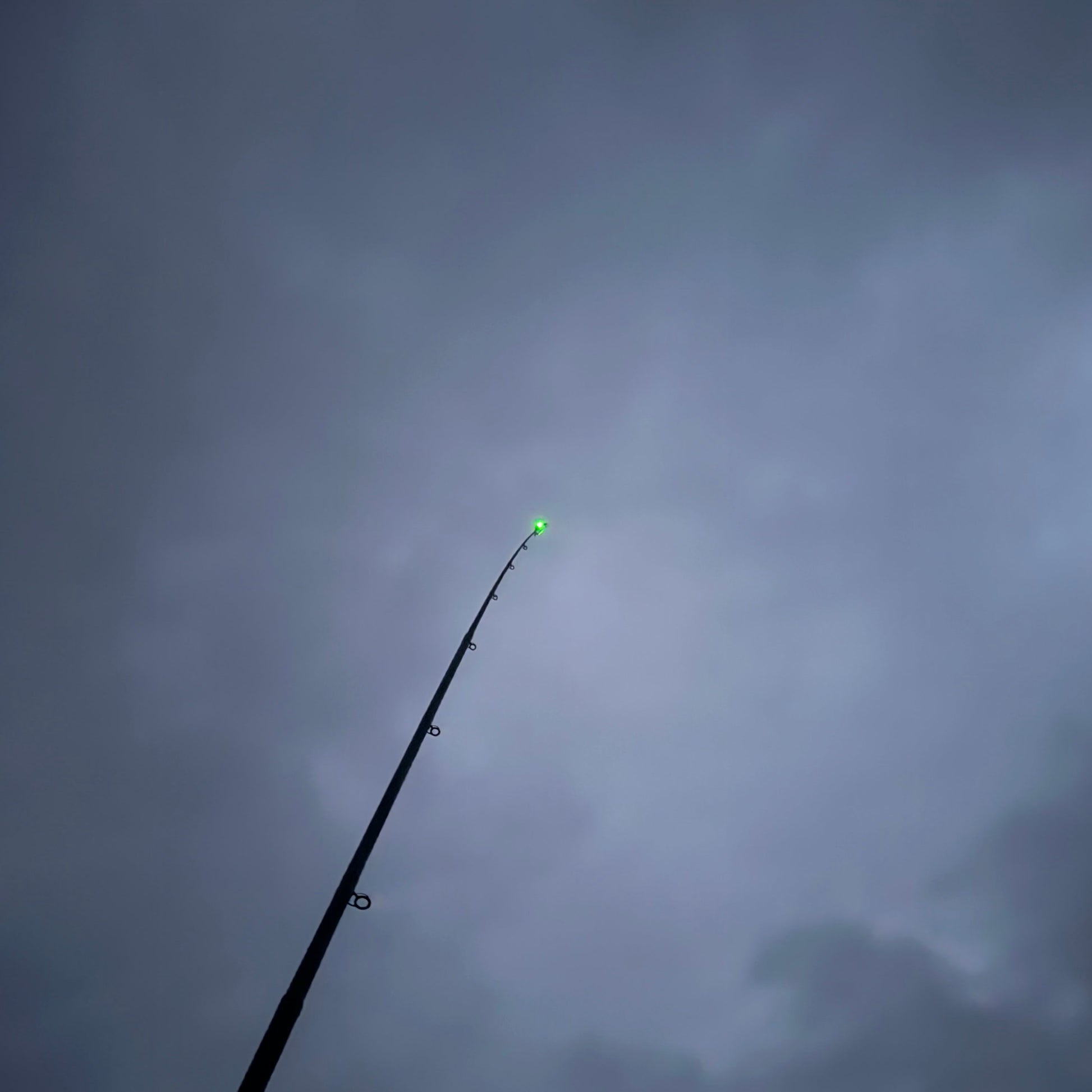 LED - Rod tip – Tidal Hook