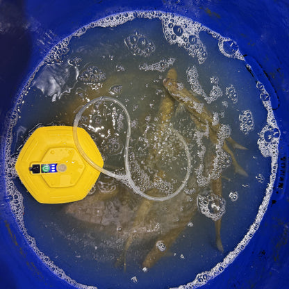 A yellow hexagonal aquarium air pump with a clear tube submerged into murky water inside a blue plastic bucket, with fish visible in the background.