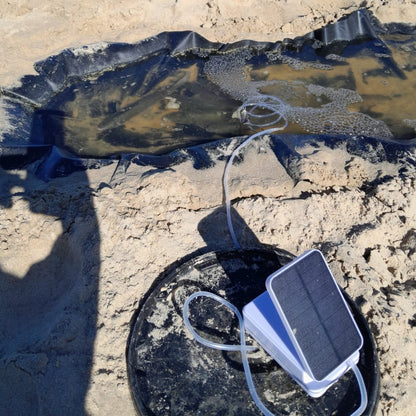 Mullets in beach pool kept alive by V2 solar aerator