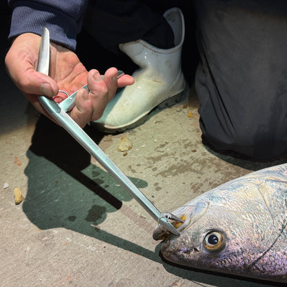 Tidal Hook stainless steel hook remover gripping a fishing hook in a fish's mouth for quick and safe hook removal.