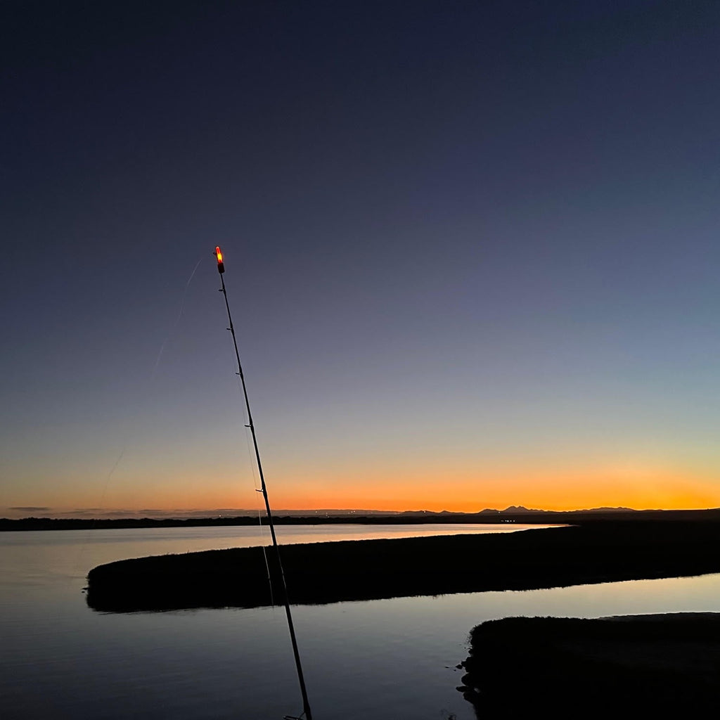 NAYIRI Fishing Rod Light,LED Lights Rod Tip Light - Dual Light Source Night  Fishing Lights, LED Fishing Light, Clip on Fishing Rod for Night Carp  Fishing : : Sports & Outdoors